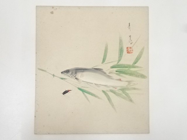 諸永青晁筆　鮎図　肉筆色紙